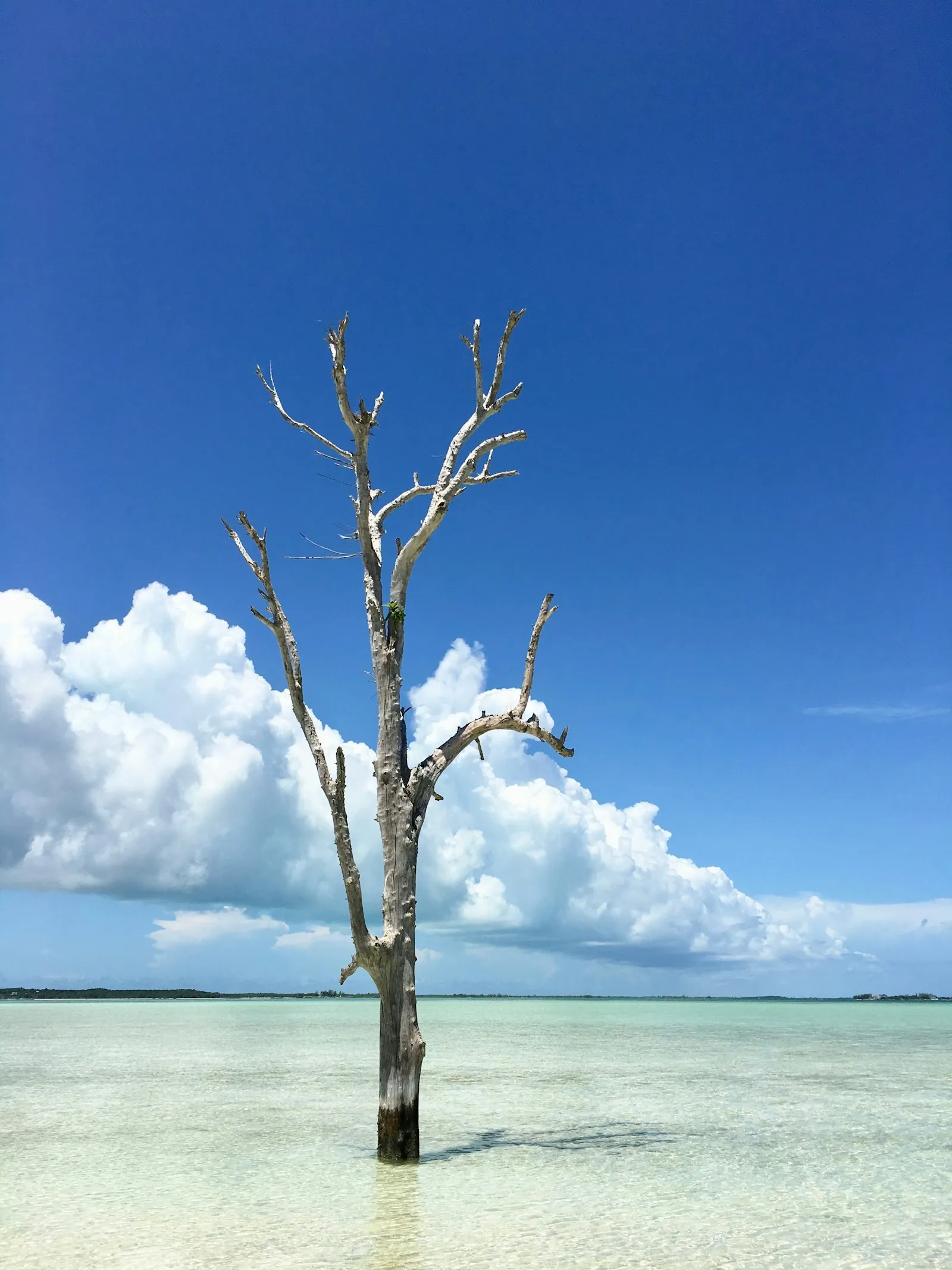 South Eleuthera, Eleuthera