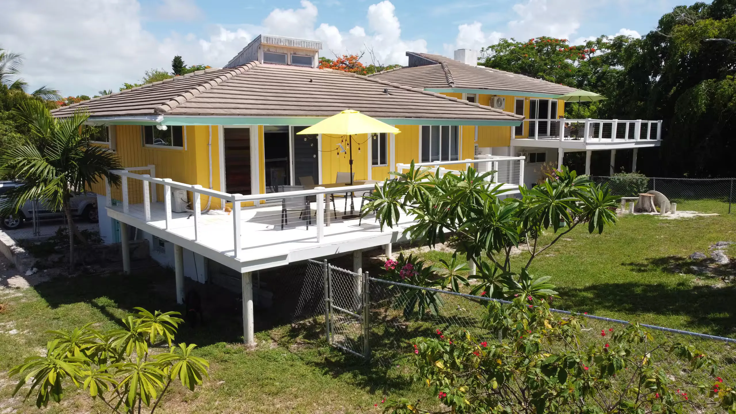 The house's exterior deck with a flowering frangipani tree