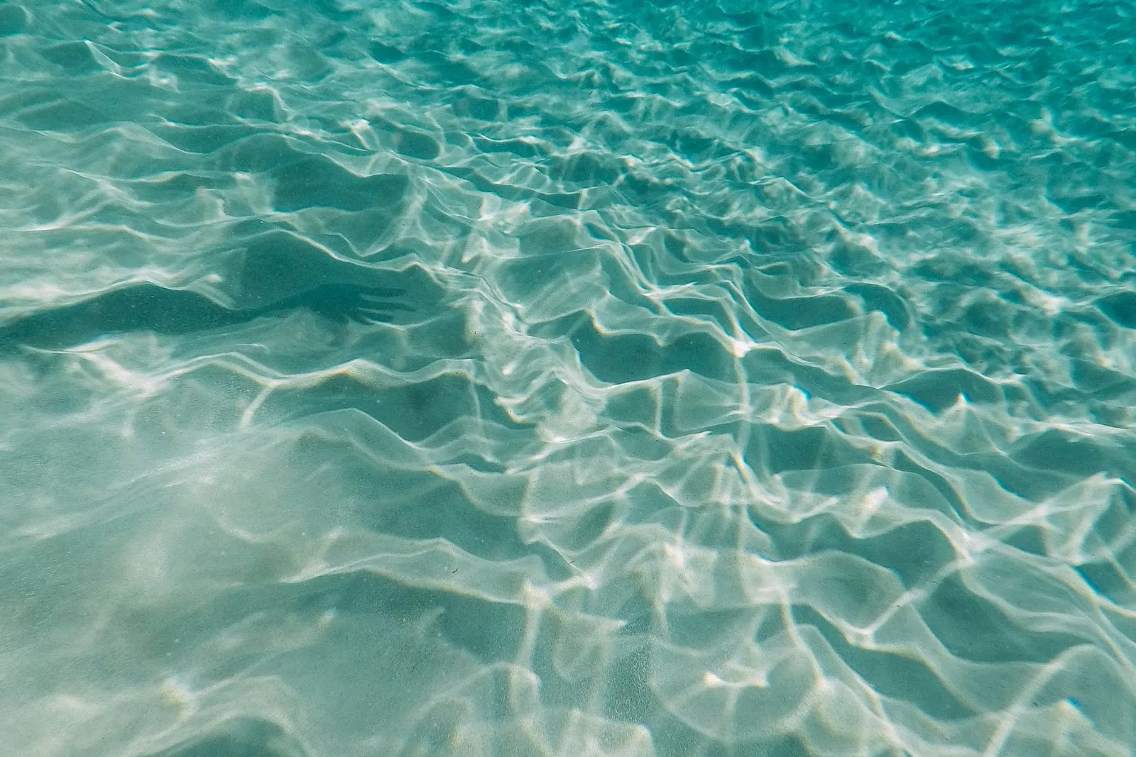 Sunlight patterning a shallow tropical seabed through clear warm water