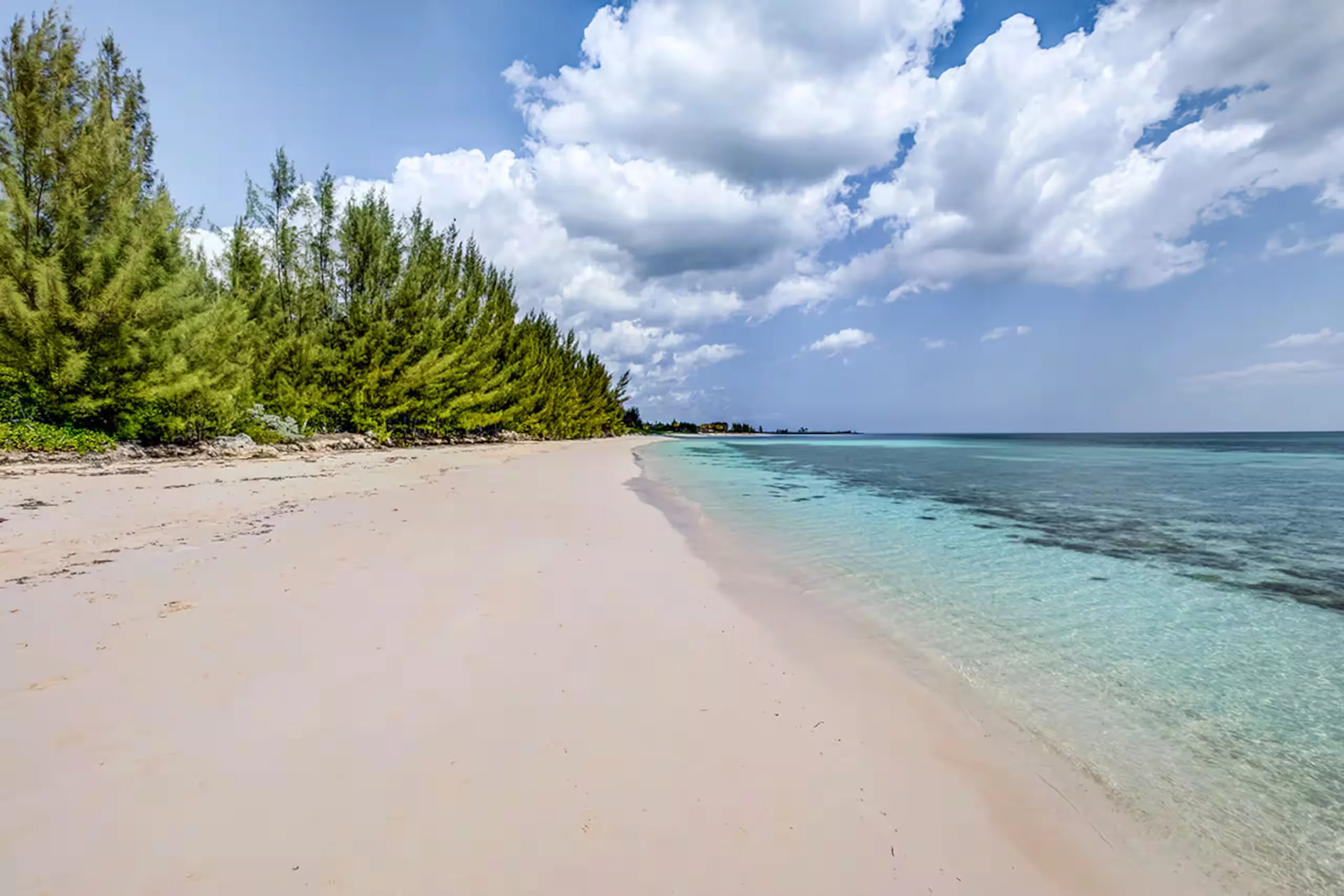 The private beach, with pine trees along the shore